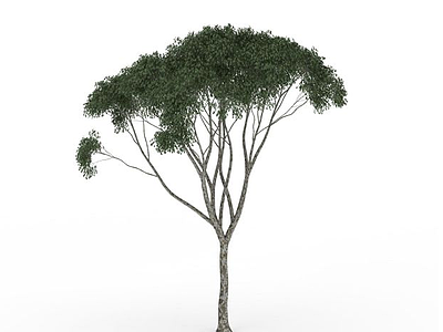 3d分叉小叶树免费模型