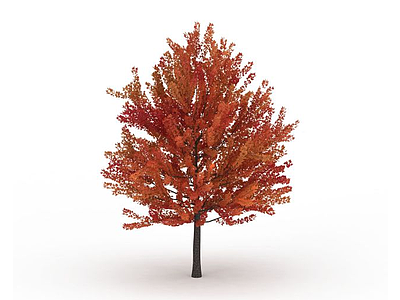 3d橘色叶子树木模型