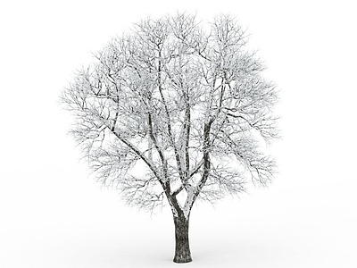 挂雪景观树模型3d模型