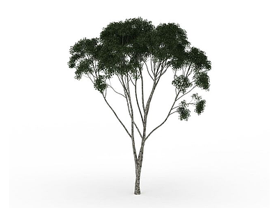 3d多枝绿叶树免费模型