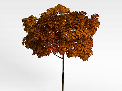 秋天黄叶景观树模型3d模型