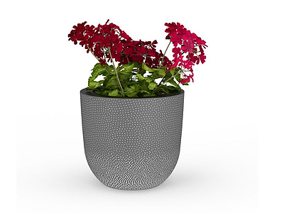 红色盆栽植物模型3d模型