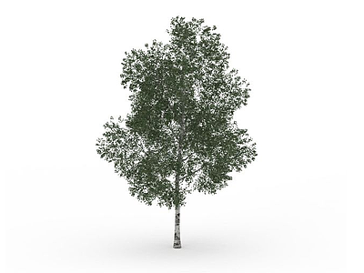 3d公园<font class='myIsRed'>绿化树</font>免费模型