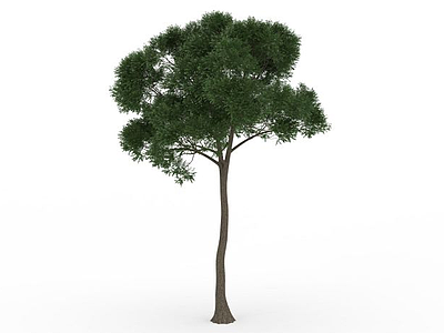 3d绿色小叶树免费模型