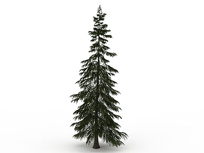 圣诞树木模型3d模型