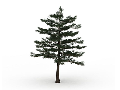 3d道路绿化树免费模型