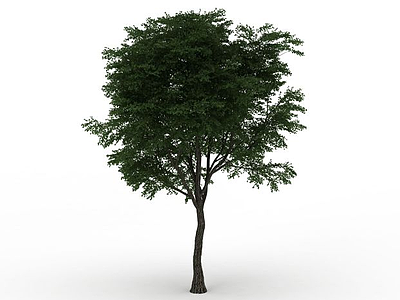 景区植物树木模型3d模型