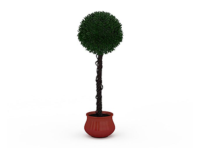 3d圆形树冠盆栽免费模型