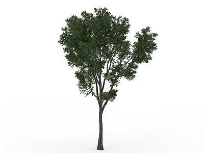 茂密大树模型3d模型