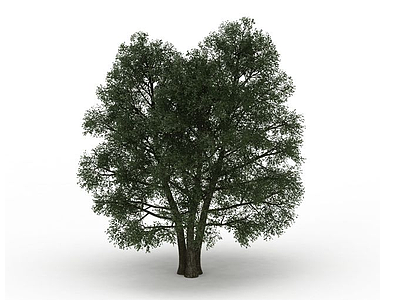三棵绿树模型3d模型