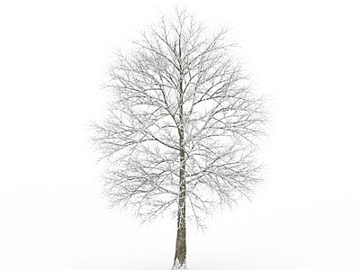 小棵挂雪树木模型3d模型