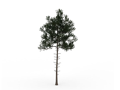 3d公园绿化树免费模型