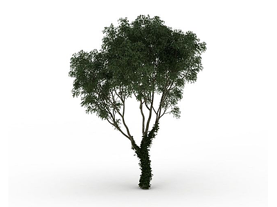 街道植物树木模型3d模型