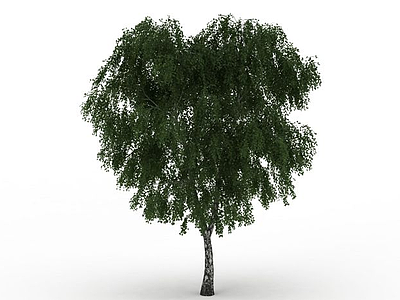 槐树景观模型3d模型