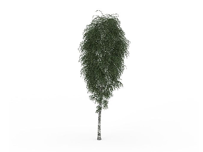 公园绿化树模型3d模型
