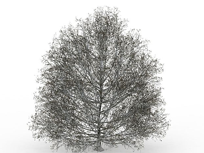 3d冬天大树冠树木免费模型