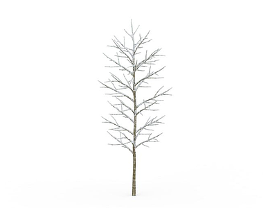 无叶挂雪树木模型3d模型