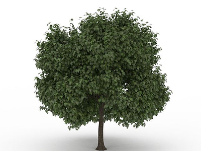 茂盛公园景观树模型3d模型