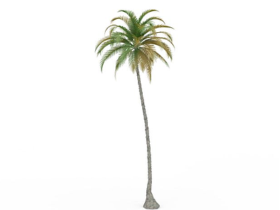 绿色椰子树模型3d模型