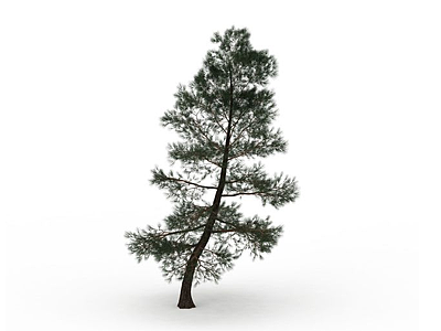 山坡柏树植物模型3d模型