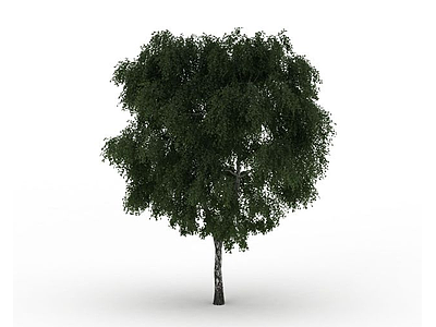 茂密树木景观模型3d模型