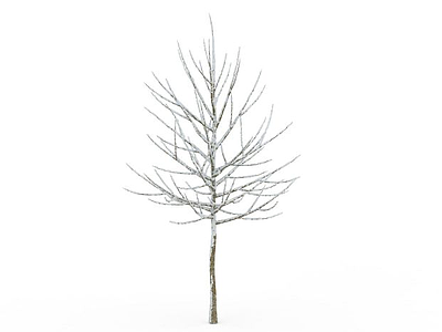 3d冬天挂雪树模型