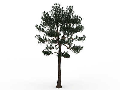 柏树景观模型3d模型