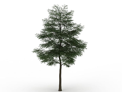 道路绿化树模型3d模型
