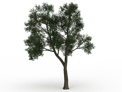 分叉绿树模型3d模型