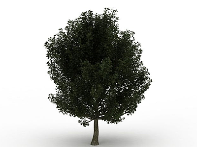 3d道路<font class='myIsRed'>绿化树</font>免费模型
