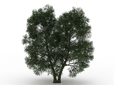 分枝茂盛树木模型3d模型