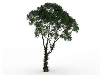 道路绿化树模型3d模型