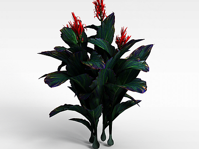 3d红色花朵大叶植物模型