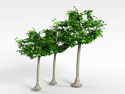 3d公园树木模型