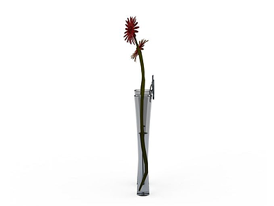 荷兰菊模型3d模型