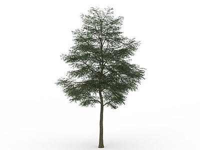 绿色槐树模型3d模型