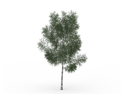 3d公园绿化树免费模型