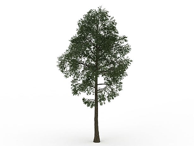 3d茂盛榆树免费模型