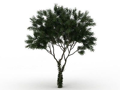 伞状植物模型3d模型