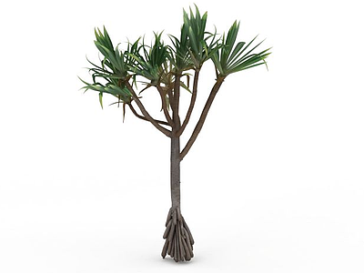 3d热带棕榈树模型