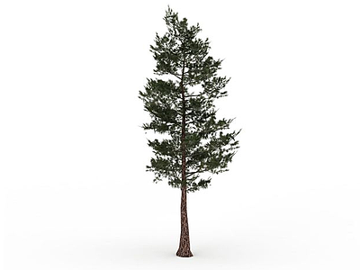 3d绿化树模型