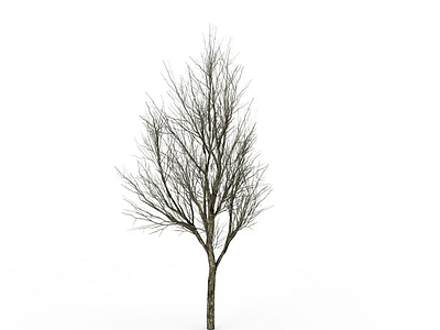 3d雪树模型