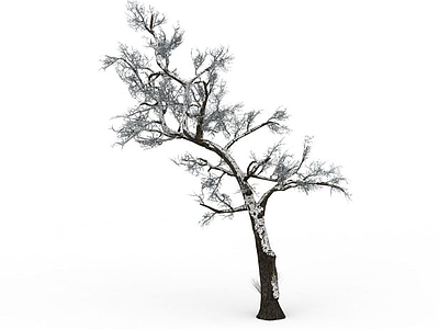 3d雪树模型