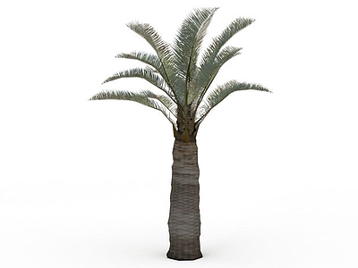 亚热带树模型3d模型