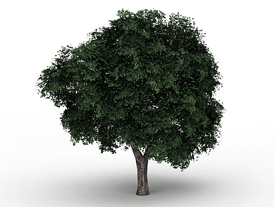 3d日本树免费模型