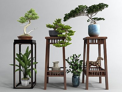 3d新中式松树盆栽模型