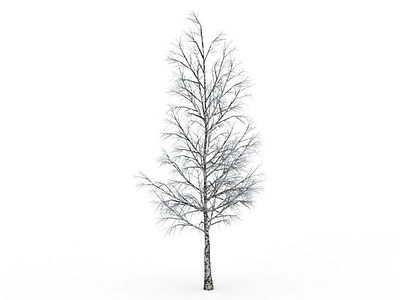 冬树模型3d模型