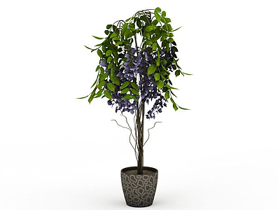 3d紫丁香盆景免费模型
