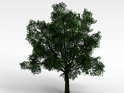 3d<font class='myIsRed'>绿化树</font>模型