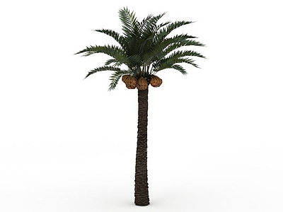 3d菠萝树免费模型